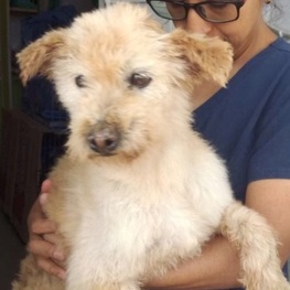 D a1429537 2448 40cd 89b1 18f961def545