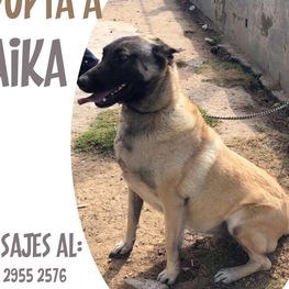 D e7c3c912 b813 4e43 a4e3 e1222b458129