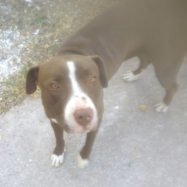 D 06702fbd d2c5 46c0 9f9d 144602a471b5