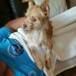 D 8f90a1f8 f915 4517 8564 5fd05fd0717a