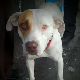 D b75bc401 af81 4c27 a99c 42aab9b0efd5