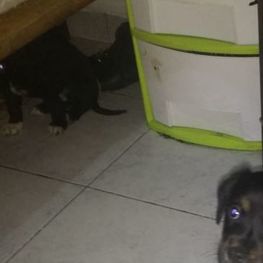 D 9c1da599 4022 48cc a85f 63a788510209