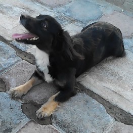 D 3dbf8755 e758 4f29 a316 6e572f70558d