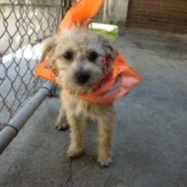 D 102ca171 9ba2 47db bd8f 89d4e3626c25