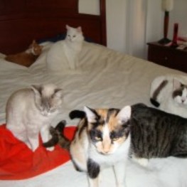 D 91f5e9d9 db44 4991 af2b cd180369cab1