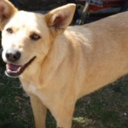 D e2e9bb45 5b56 4917 abe2 be8bf101904e