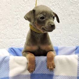 D bed492d4 3e7b 4173 a42f 9a9ab4413b2d