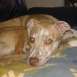 D a711acd0 bc31 4b18 ae27 e43e3a467759