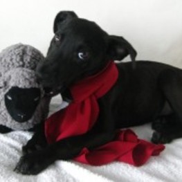 D 3b41fb56 0b3a 4d1c 8920 6b43fb27aa0b