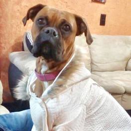 D 67962cb7 1d59 420d b24a 6e97428ff614