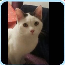 D 56f7961a 7d97 4193 9185 efef3412adc7