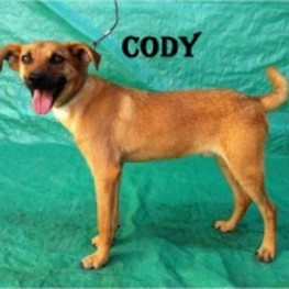 D e87552f3 435e 4ab0 8d03 76e4a33a8180