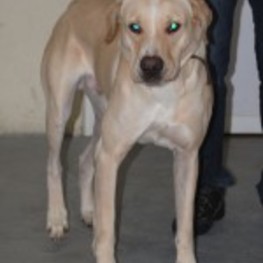 D c3d235f7 2b37 4191 a049 30c215029d95