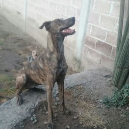 D 66057695 20ed 41c4 93f6 6599e0104987