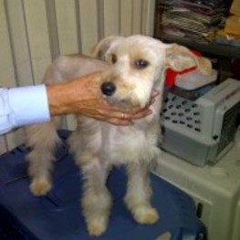 D ae56e61c e30e 40f1 8783 69fc46d4fe39