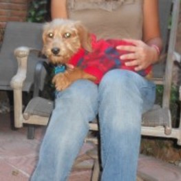 D 994572eb ad98 481d a4fb f937ef0b94e8