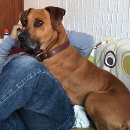 D 52d0d939 a0e4 4593 a212 110ed25c2753