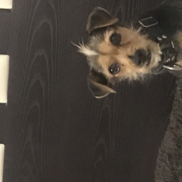 D d1b804a8 9bba 4e2d 9ca4 1cd3788b74b3