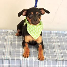 D 22334832 6871 47f6 ad4b 1dd11ac0bce8