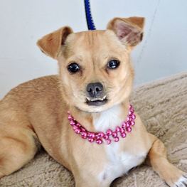 D 440cb98b 4fad 4443 aca9 5904bf0558e9