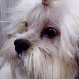 D e5178139 f6ed 4e91 bc33 f10de1546897