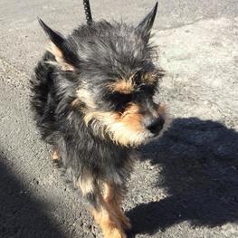 D 6f94bb96 fe21 4d37 8498 96cb9fba7c89