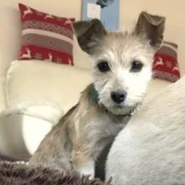 D 86d4a798 6477 4824 875a 9fa18f80db11