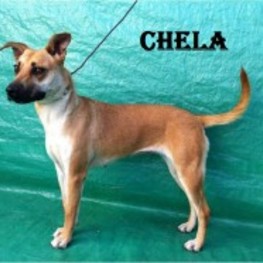 D 3bf32158 b0ce 486e acde ccb57ccdc0f9