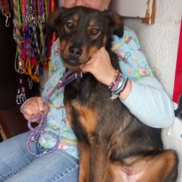 D 5922833b 77eb 47f3 b756 25dd43f11e51