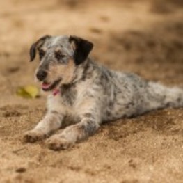 D 790253d6 7dd7 4f92 a14c d1ee73c4c75f