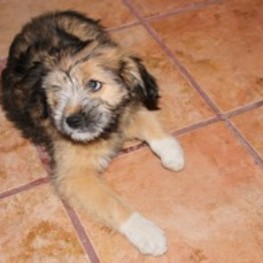 D 265e3a5b 0aad 42c9 83a5 25421277f912