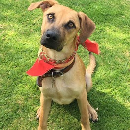 D 531fd422 8ec5 4452 af12 ff343294234c