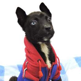 D 947f11bc 5e9e 4853 abaf 7e25a146cfde