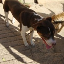 D 8e8593c2 33d3 4cb6 b83c 7d3efb16f4d3