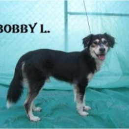 D ee2f99a2 9813 4f7d b0ff aa21aa12f89c