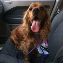 D c5368fa3 5bf4 4e4b b8dc 809ae10162a9