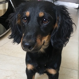 D 54d64eff acc5 4a0d 82c1 137a764ce427