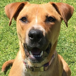 D aa214d68 1463 47a6 aae5 c9c6ff8c5909