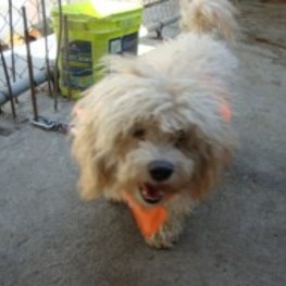 D ac168276 5848 4920 9582 a31328bac66d