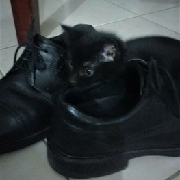 D bcf2ce63 38ec 4c95 b08b e0ffaab6b129