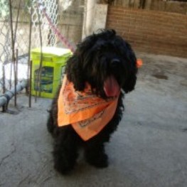 D 52904dbe 879a 46be afc4 7fb45860c446