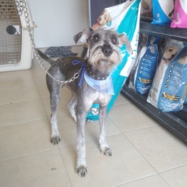 D 7ac54056 dcbd 4133 a1e4 00fa1a87196b