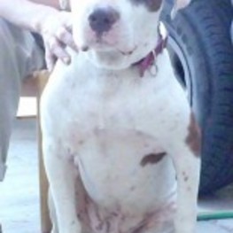 D 67417128 7e21 46df 8c1f 913fa2dfa19d