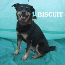 D 6fd3bdfb bc41 490c befc d71ceffa6eba