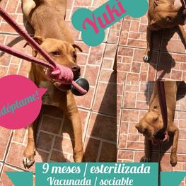 D be28aa90 20f1 4103 adb1 beb983b5ac15