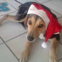 D 7259f0ed 1f89 4cac 991b c7e21d5782f5