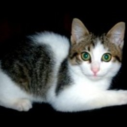 D ea07342f 7a29 4787 a56d bcaefb25465f