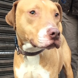 D 56ac3f20 b1e1 4f9f 8cfa 48882f60eb0c