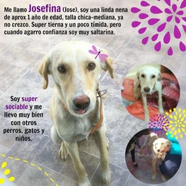 D e99823ad 00bd 4b32 b92c a1051022b290