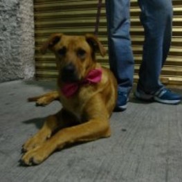 D 0b6e5704 1cb4 4644 93f8 9fef47a72750